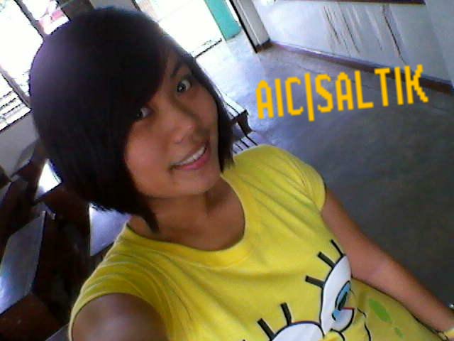 Saltik 2